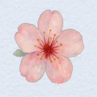 Atempause: Stressabbau